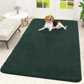 OLANLY Dog Door Mat for Muddy Paws 70x46, Super Absorbent Chenille Mud Mat