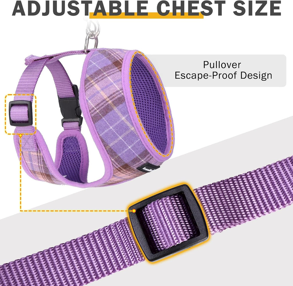 SCENEREAL No Pull Dog Harness with Leash Set for Small Dogs