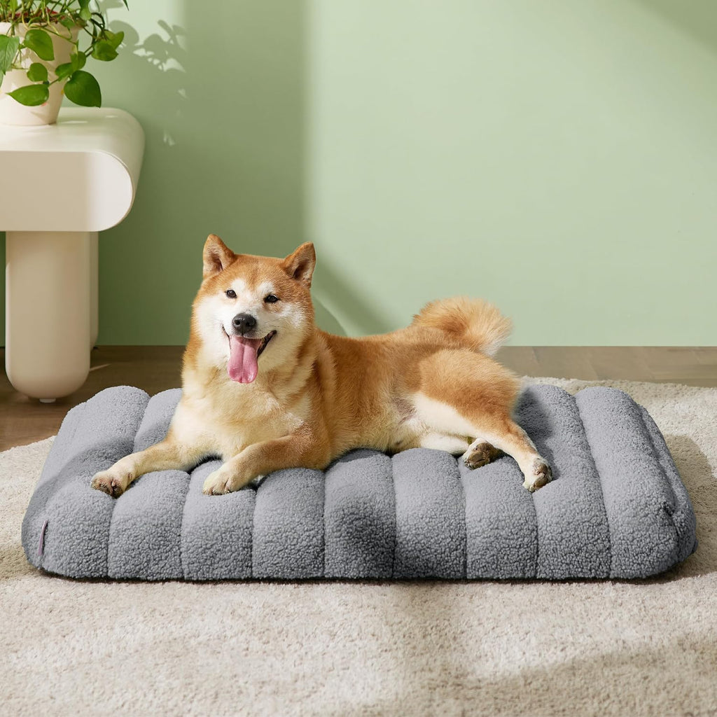 LE SURE Cute Orthopedic Dog Bed Medium Size Dog, Waterproof Chic Flat Pet Beds with Removable Washable Cover, Fuzzy Thick Egg Crate Foam Pet Mat for Indoor Use (30" x 20", Grey)