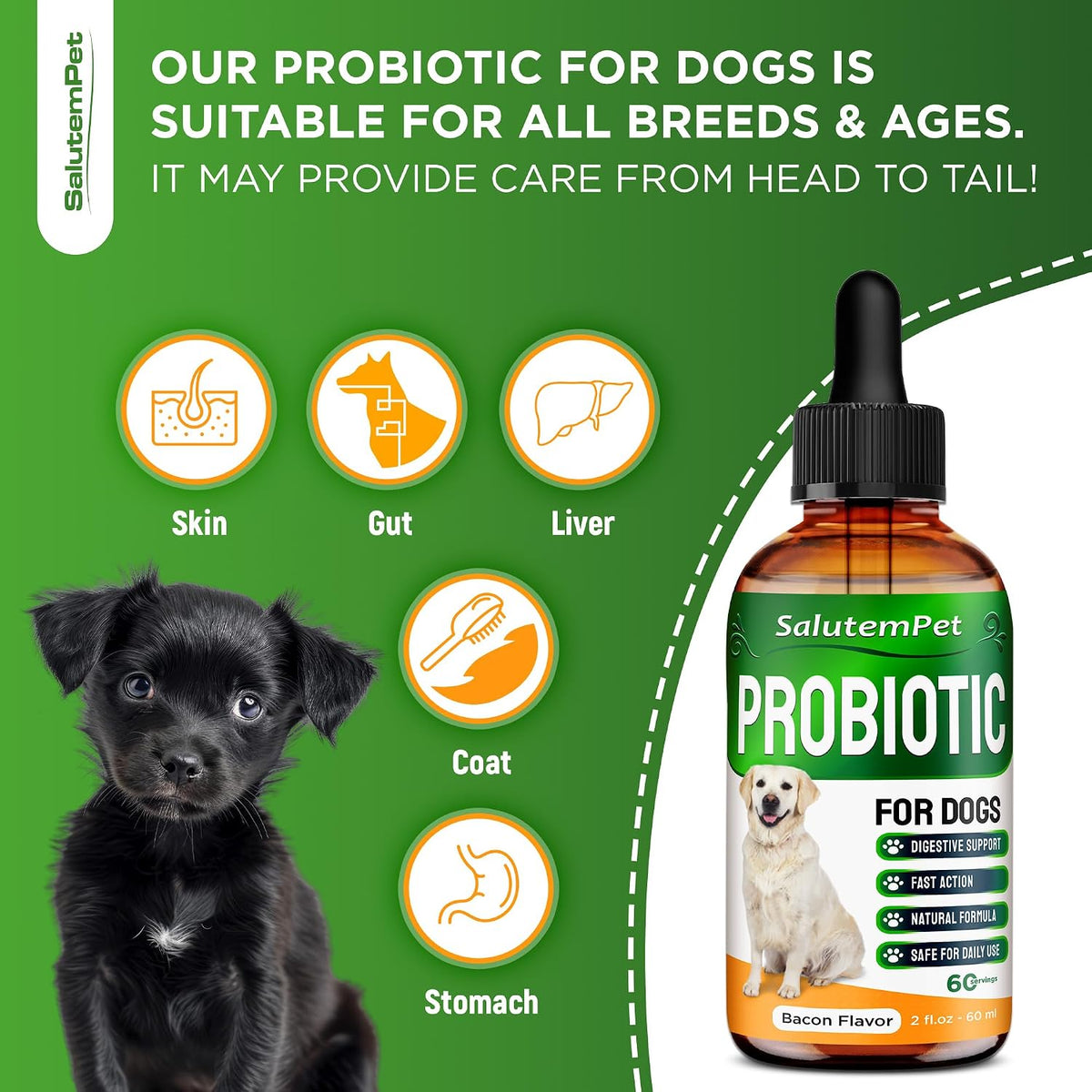 Probiotics for Dogs | Liquid Probiotics for Dogs and Puppies | Prebiotic & Digestive Enzymes | Gut Flora Support and Digestive Care | Bacon Taste | 2 Oz