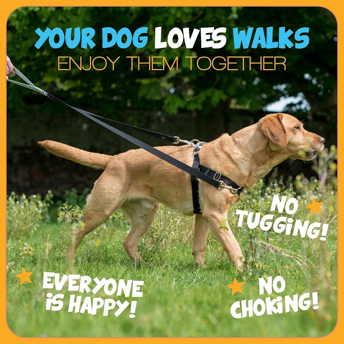 2 Hounds Design Freedom No Pull Dog Harness and Leash, 1" LG, Teal