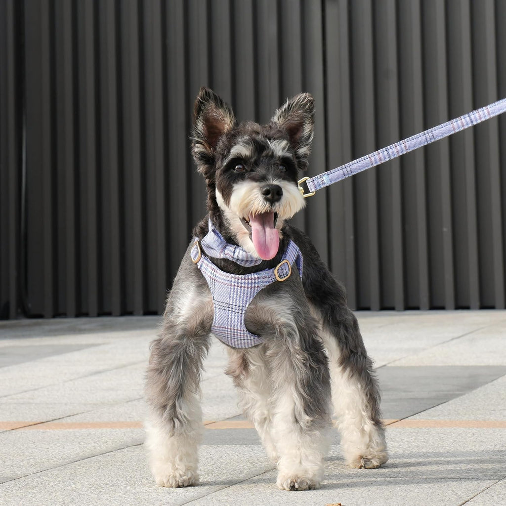 Beirui Cute Small Dog Harness and Leash Set Bowtie, Blue,XS,Chest 13-28"