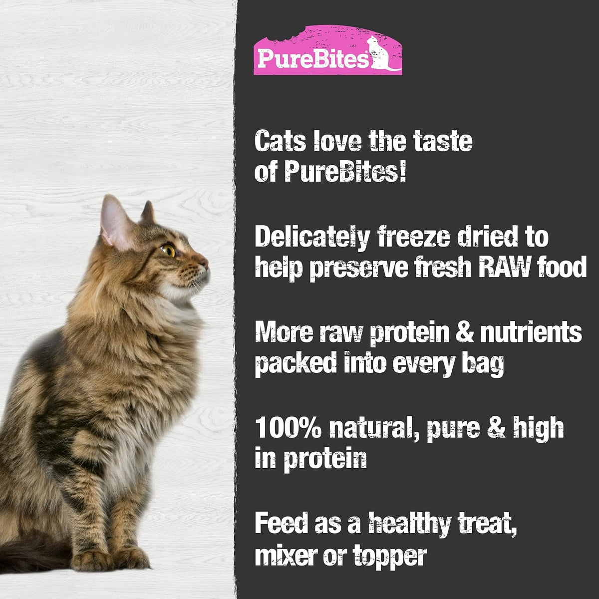 PureBites Salmon Single Ingredient Freeze Dried Cat Treats, 4.7 oz