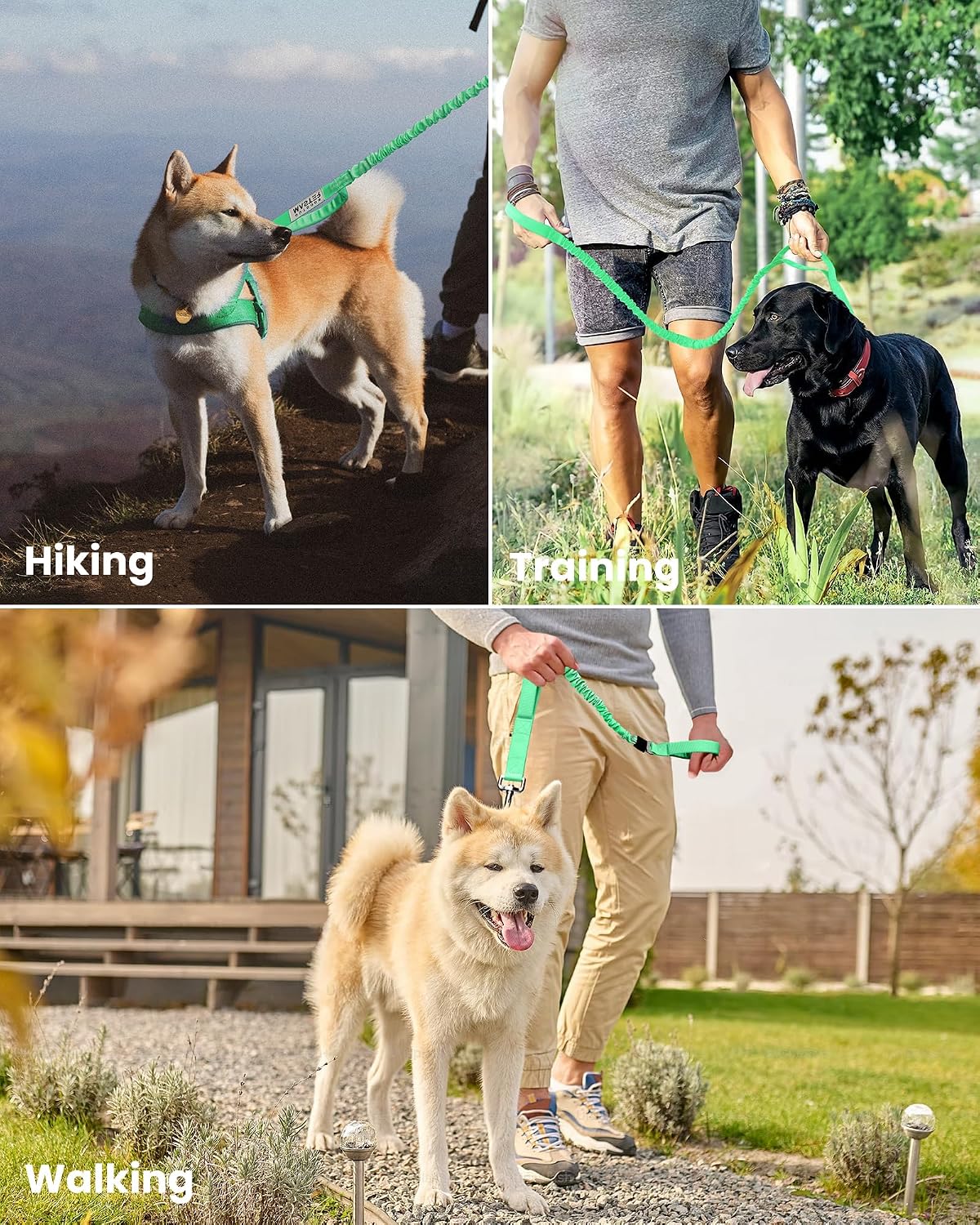 OutdoorMaster Bungee Dog Leash with Shock Absorption, Seatbelt-Buckle