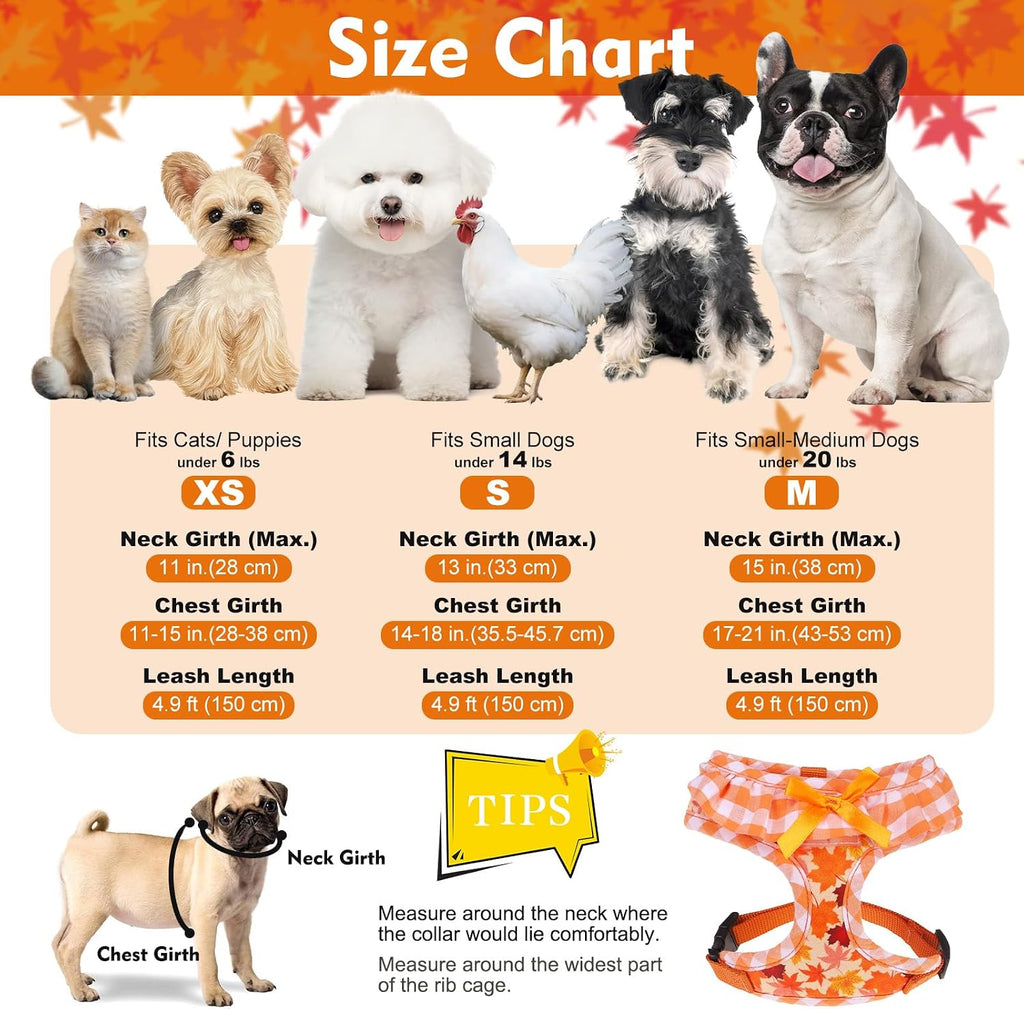 EXPAWLORER Fall Dog Harness and Leash Set Small Sized