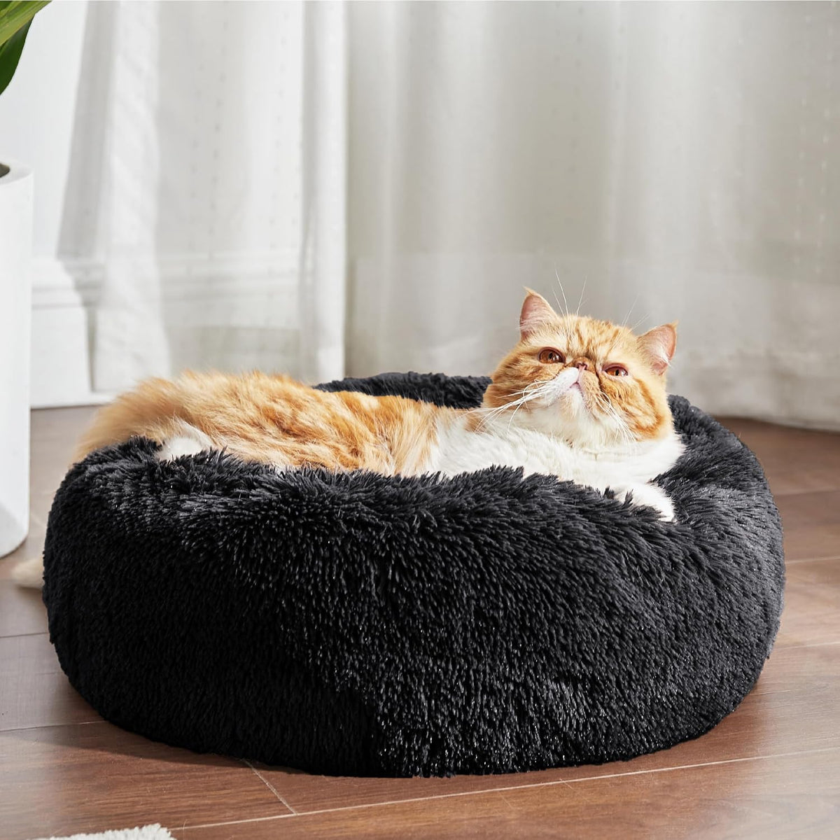 Bedsure Calming Cat Beds Donut Round Washable Kitten Bed,20 inches Black