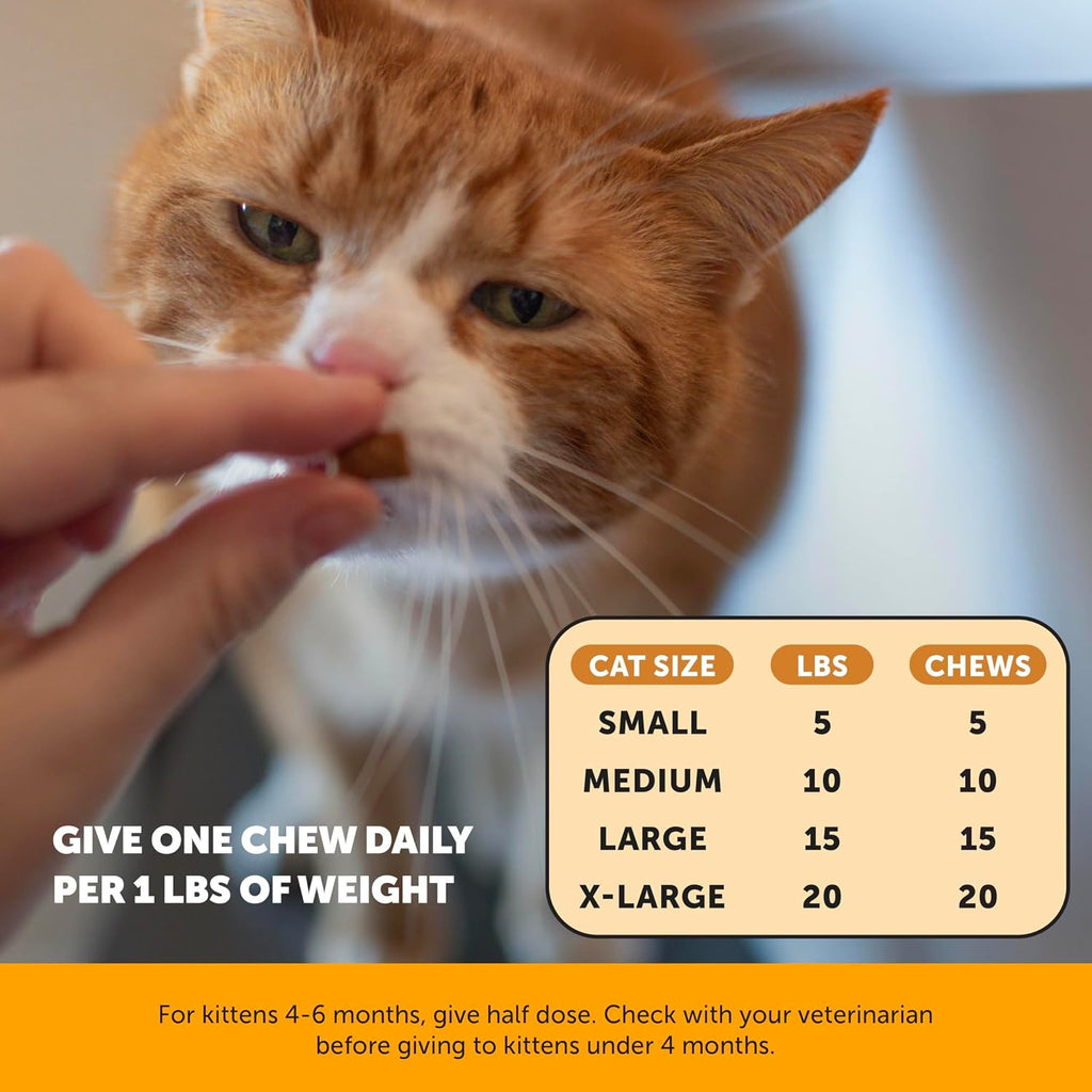 Pet Honesty Vet Backed Immune Lysine for Cats, Chicken, 90-Day Supply