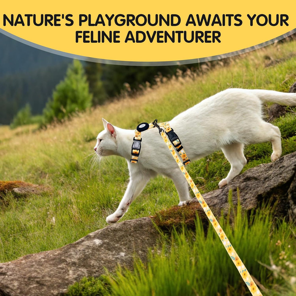 BINGPET Cat Harness with Airtag Holder, Escape Proof for Walking Outdoor