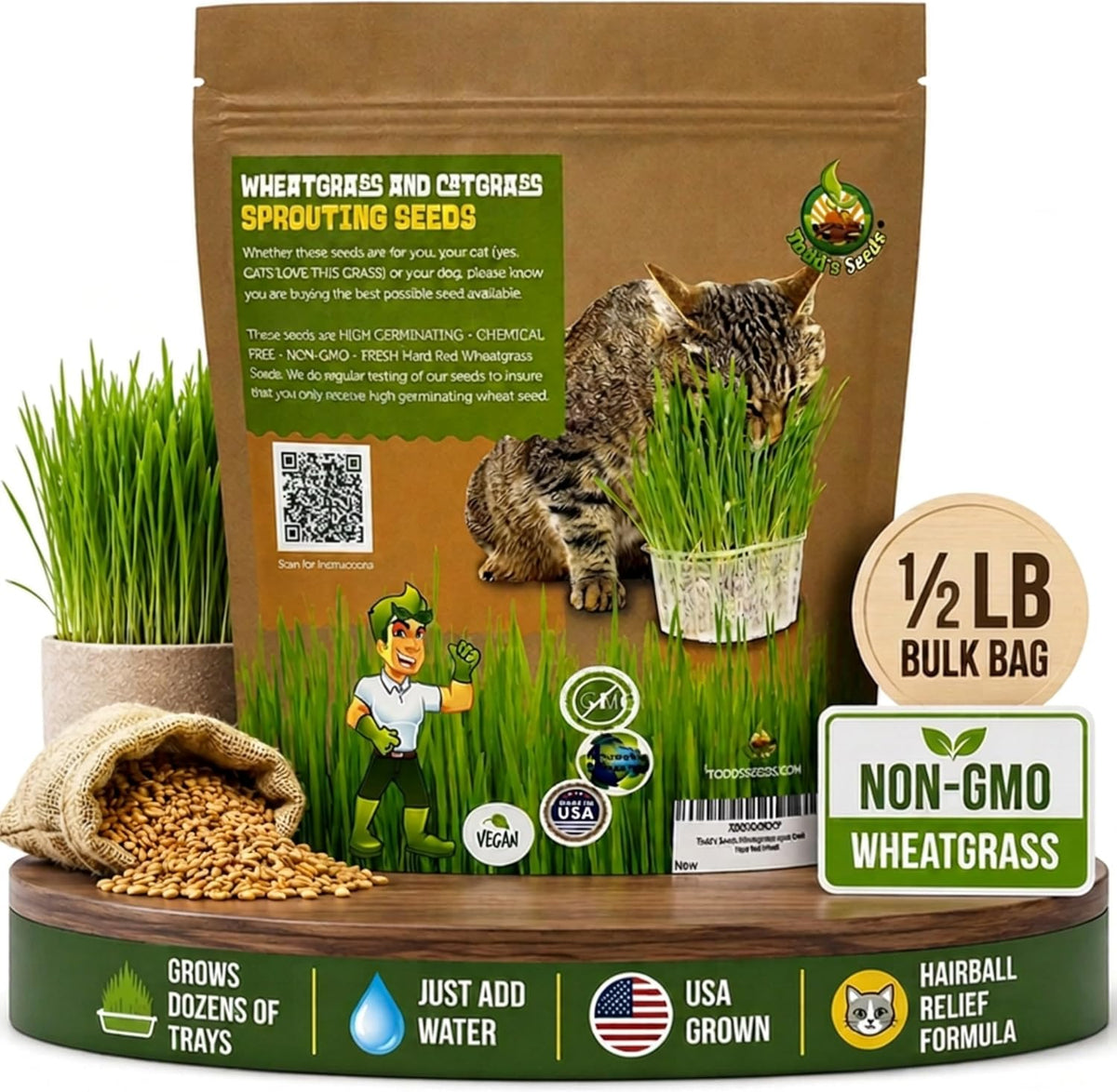 Todd's Seeds Cat Grass Wheatgrass Seeds, 1/2 lb - Non-GMO, Pet Safe