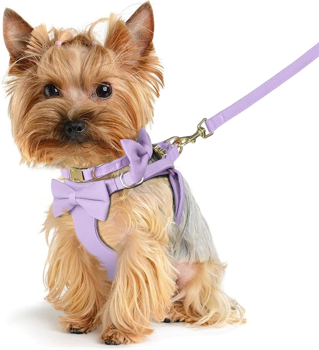 Beirui Cute Small Dog Harness Collar and Leash Set, Purple,XXS,Chest 12-14"