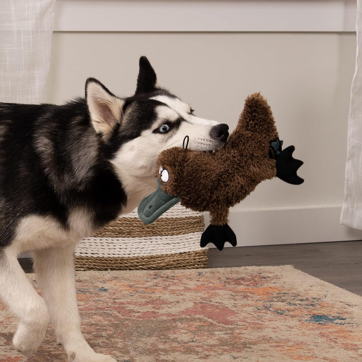 TrustyPup Strong 'N Silent Platypus Silent Squeak Plush Dog Toy, Chew Guard Technology - Brown, Large