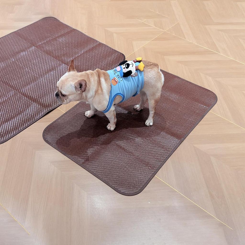 Woven Cool Mat for Dogs, Waterproof Rinse-Clean Pad, 38" x 26"