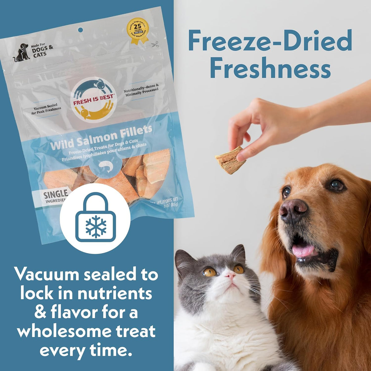 Fresh Is Best Salmon Fillets Freeze Dried Dog Treats for Cats & Dogs