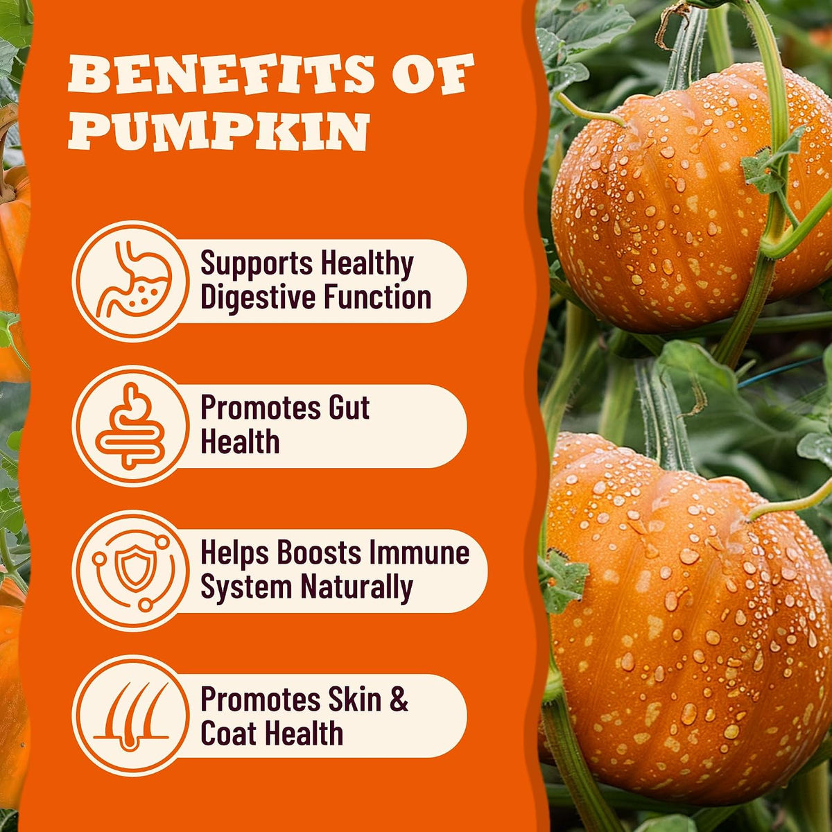 13.05oz Pumpkin Treats for Cats & Dogs with Egg Yolk Creamy Core
