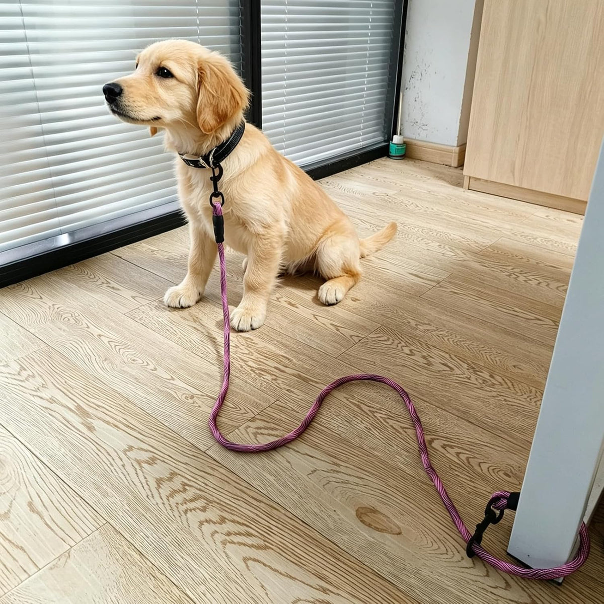 BTINESFUL 3FT 4FT 5FT Dog Tie Down, 2/5" Nylon Rope Indoor Short Dog Tether