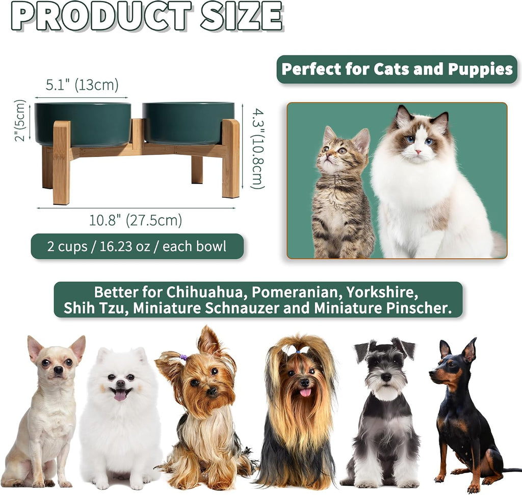 Elevated Ceramic Dog Bowl, 2 Cups Dog Food and Water Bowl Set with Stand | 5.1'' Double Dog Feeding Dishes, Non-Slip Raised Dog Feeder for Cats and Puppies, 16.23 OZ / 480 ML, White