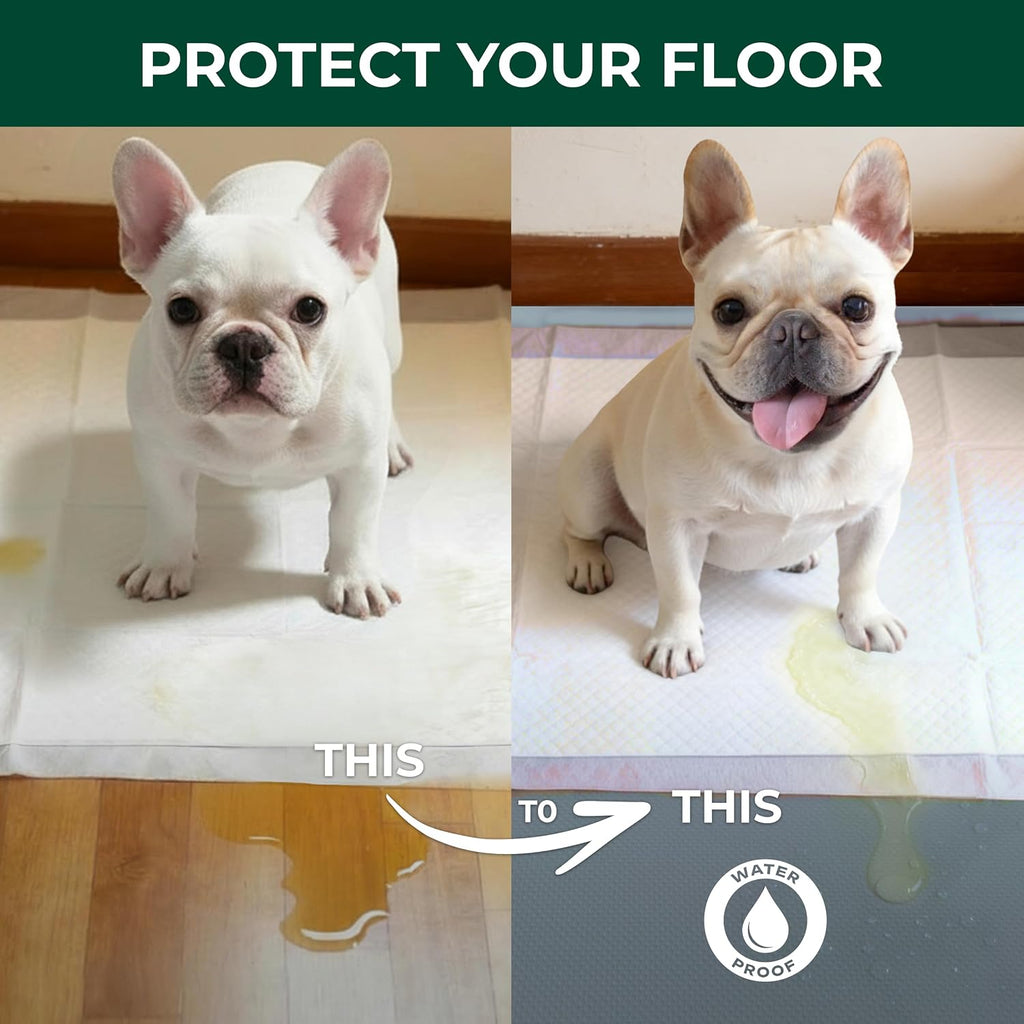 FXW Floor Protector Mat, Waterproof PVC, 55" x 31", Gray
