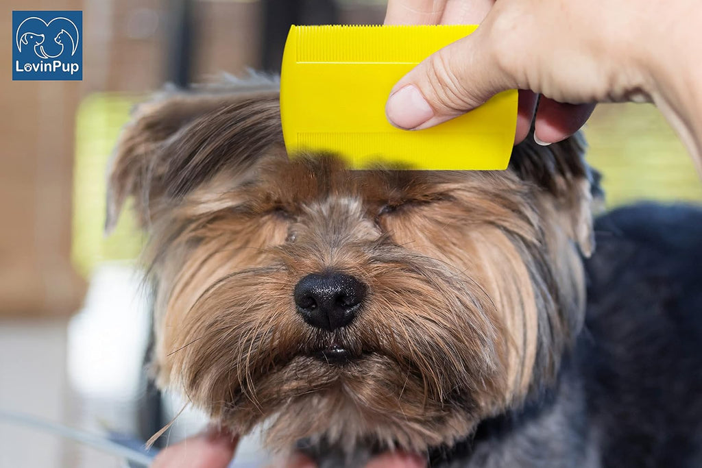Pet Flea Comb for Dogs & Cats – Tick Removal Tool (6-Pack)