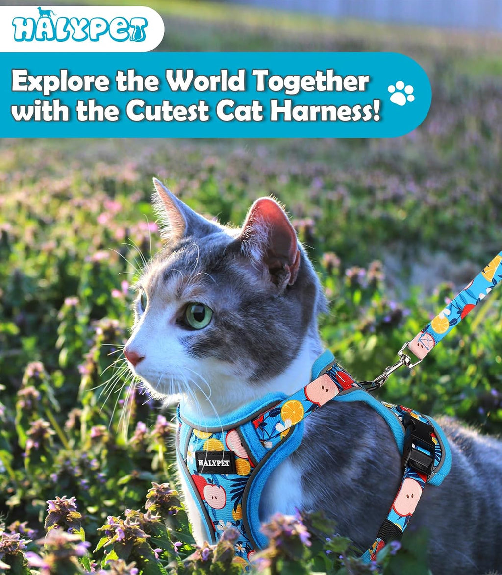 Halypet Cat Harness and Leash Set[MAX Safety 4th-Gen] Cute Escape Proof Vest Harness for Girl&Boy Cat Walking, Comfortable Adjustable Leash and Reflective Strips for Outdoor Kitten, S Azure Floral
