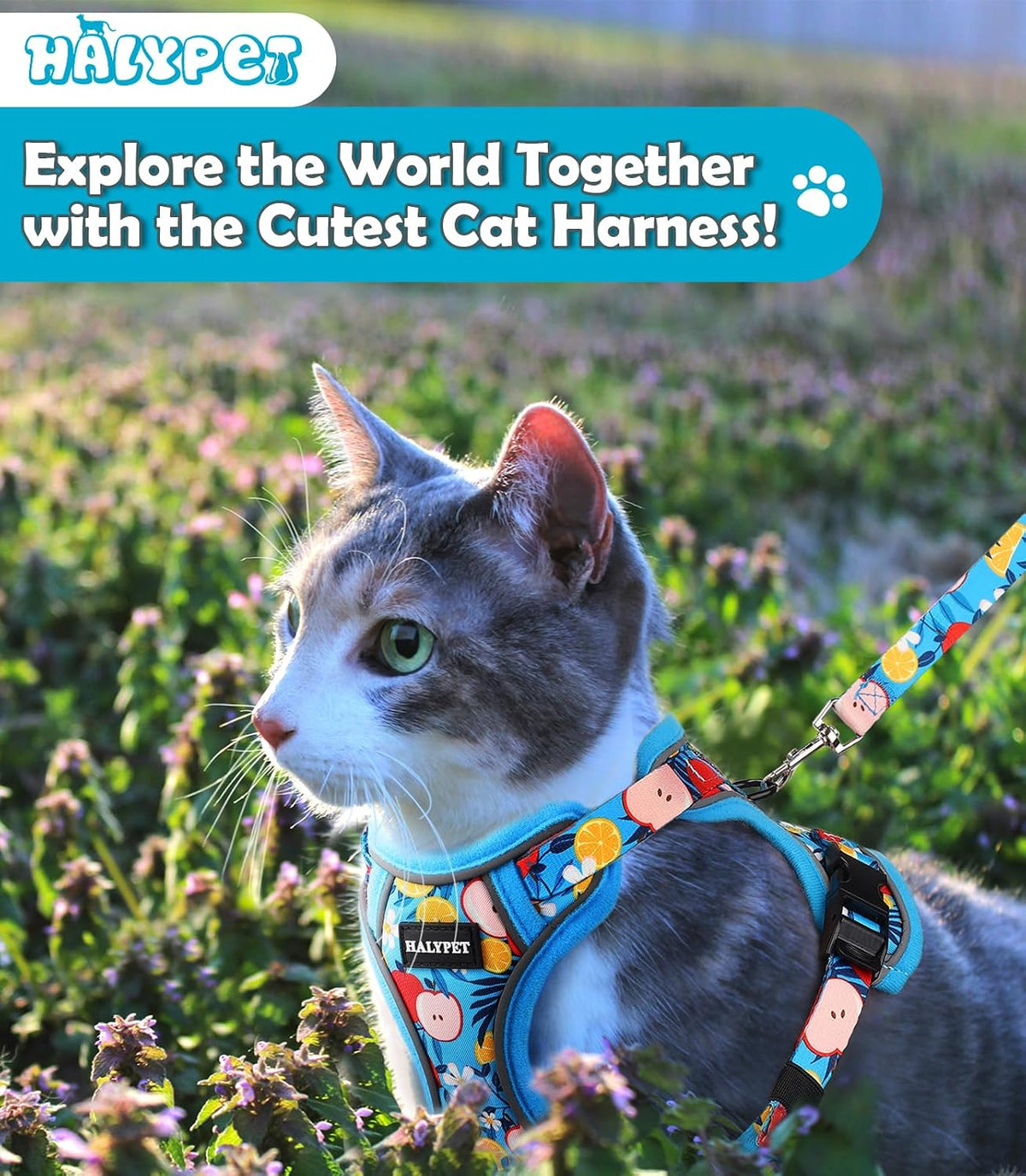 Halypet Cat Harness and Leash Set[MAX Safety 4th-Gen] Cute Escape Proof Vest Harness for Girl&Boy Cat Walking, Comfortable Adjustable Leash and Reflective Strips for Outdoor Kitten, S Azure Floral