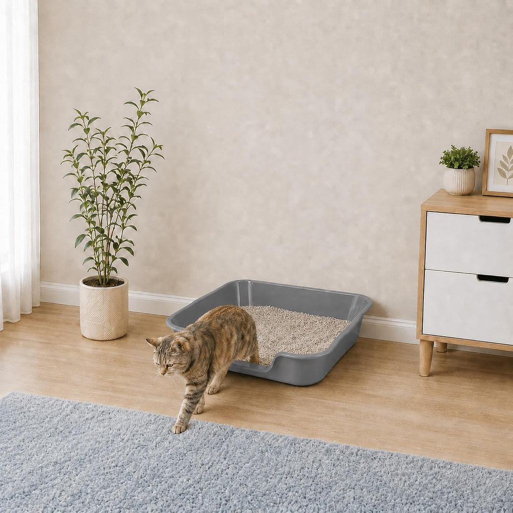 Extra Large Low Entry ABS Cat Litter Box, Grey, 24" L x 20" W, 2 Pack | Durable low entry litter box, non-stick, odor-free, ideal for seniors, kittens, rabbits, large cats and multi-pet homes.