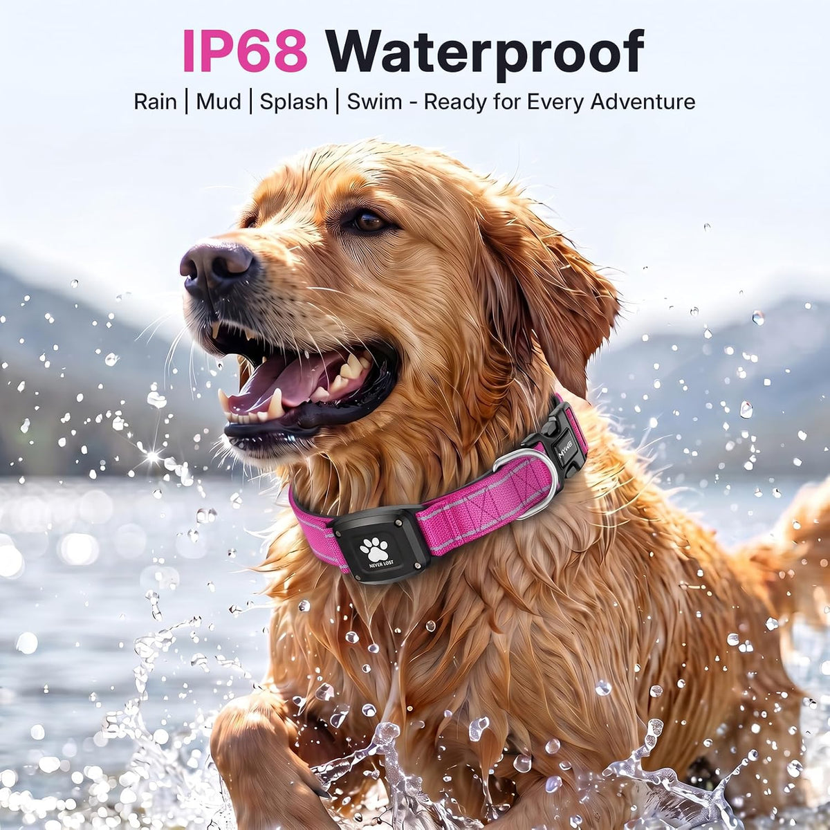GPS Dog Collar with Tracker, Waterproof, No Monthly Fee, Hot Pink, M