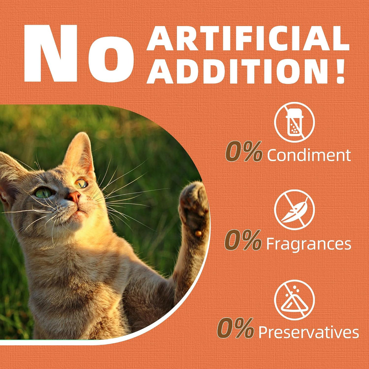 Just Try Skin & Coat Support Cat Treats,Omega 3 Salmon Oil