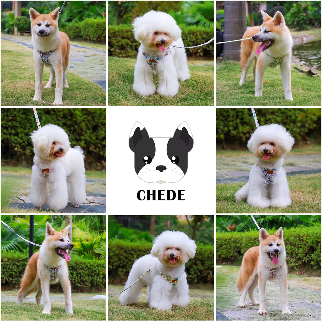 CHEDE No Pull Floral Pattern Dog Harness- Lightweight, Soft, Adjustable Small Harness and Leash Set, Suitable for Puppy Small and Medium-Sized Dog (S, Pink Daisy)