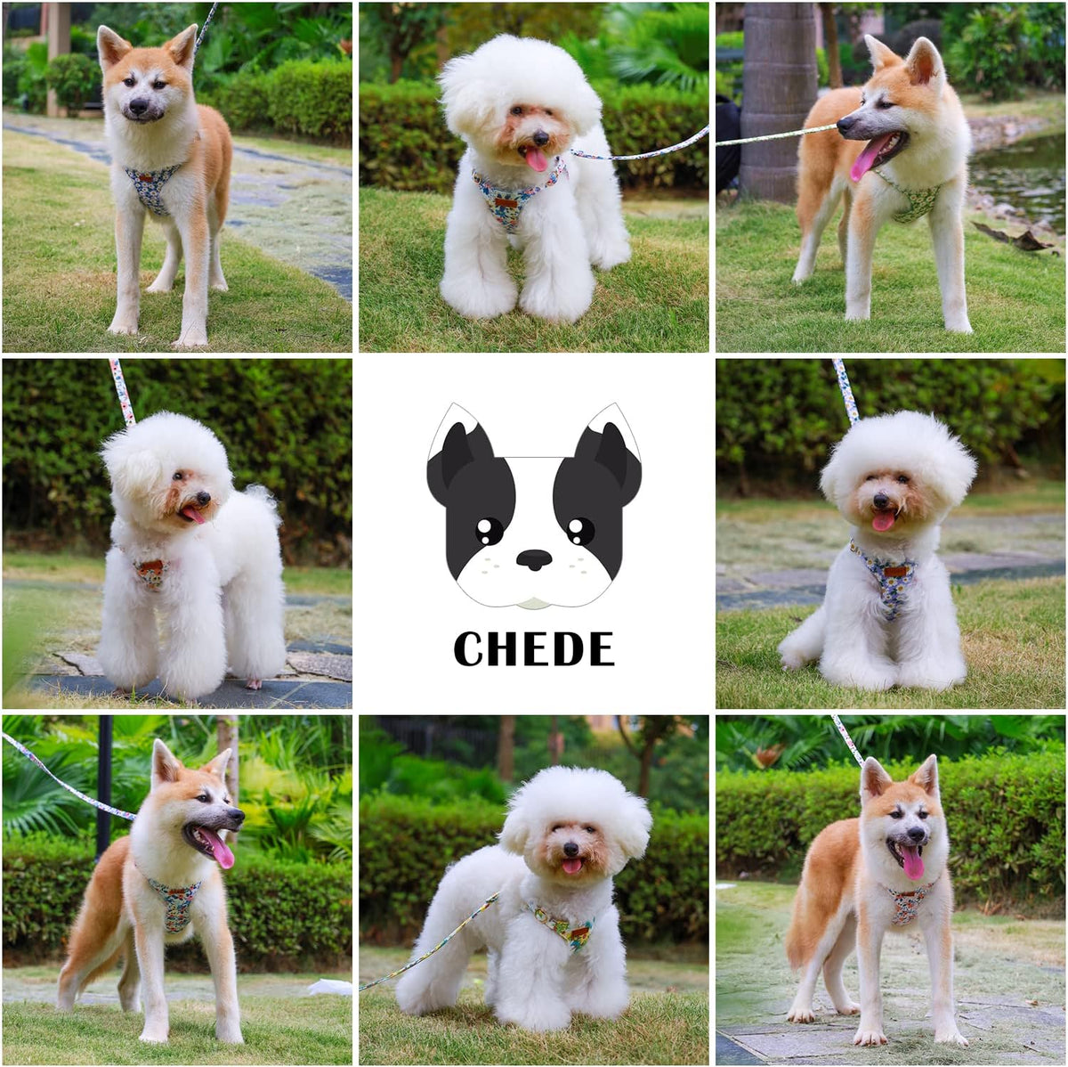 CHEDE No Pull Floral Pattern Dog Harness- Lightweight, Soft, Adjustable Small Harness and Leash Set, Suitable for Puppy Small and Medium-Sized Dog (S, Pink Daisy)