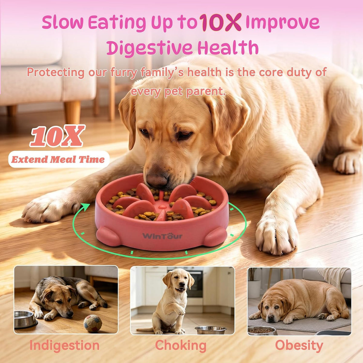 WinTour 2 Pack Slow Feeder Dog Bowls, BPA Free, Medium & Small Dog Bowls