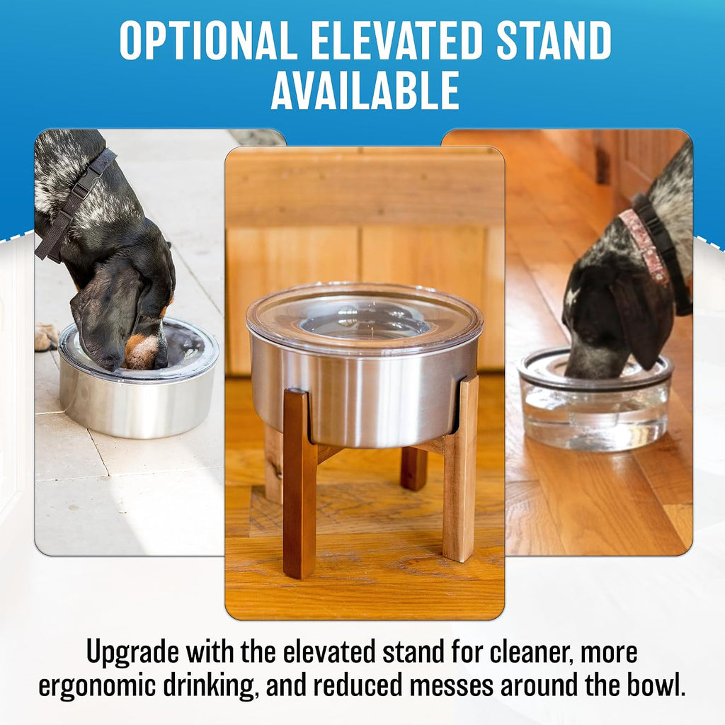 Stainless Steel Dripless Water Bowl with Tritan Plastic Lid, Holds 1 Gal, Reduces Spills & Trails Up to 85%+, Water Bowl for Giant Breed Dogs (86-130 lbs), The Original Slobber Stopper 