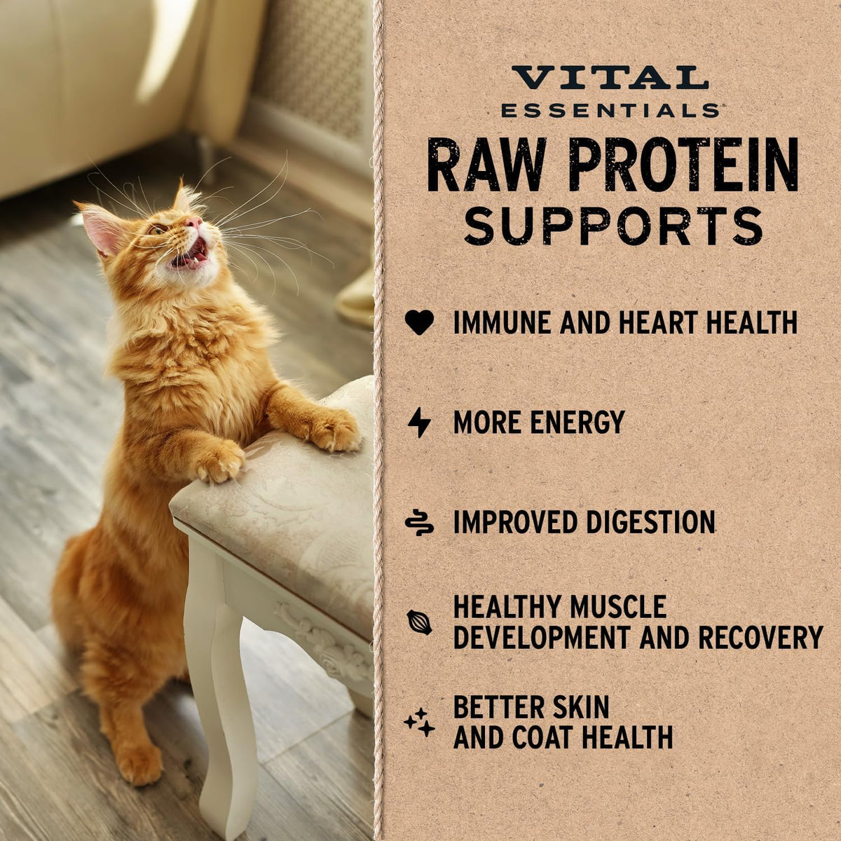 Vital Essentials Freeze Dried Cat Food, Pork Mini Patties, 8 oz Bag