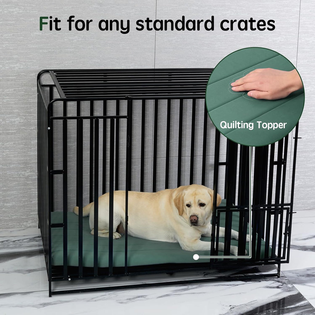 BALANCE Dog Crate Bed, Orthopedic Dog Bed Pad with Waterproof Liner, Washable Crate Foam Pet Mat for Large, Medium, Puppy Dogs Breeds, Mint Leaf, 48"x30"x2"