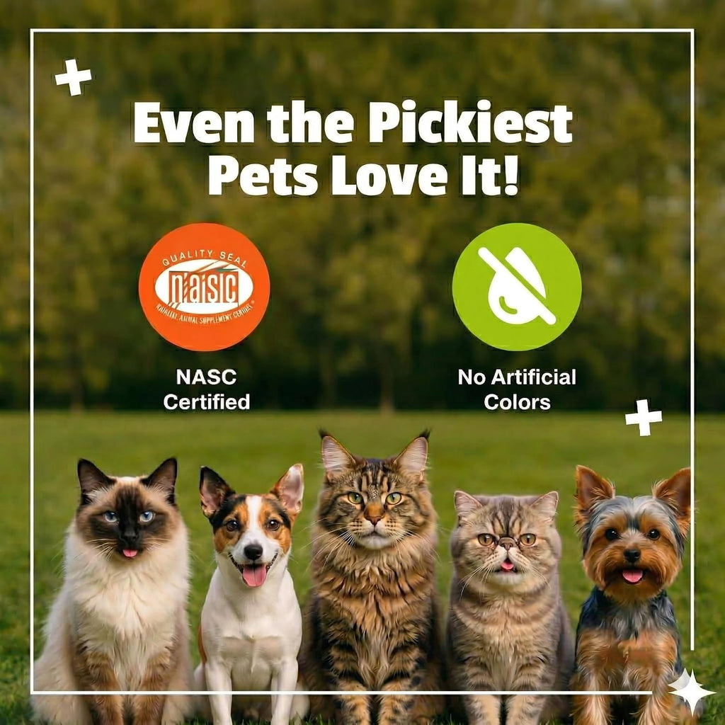 Pet Naturals Daily Probiotic Soft Chews for Cats, Digestive and Immune Support Supplement for Cats, 100 Million CFU Per Chew, Value Size, Duck, 160 Count