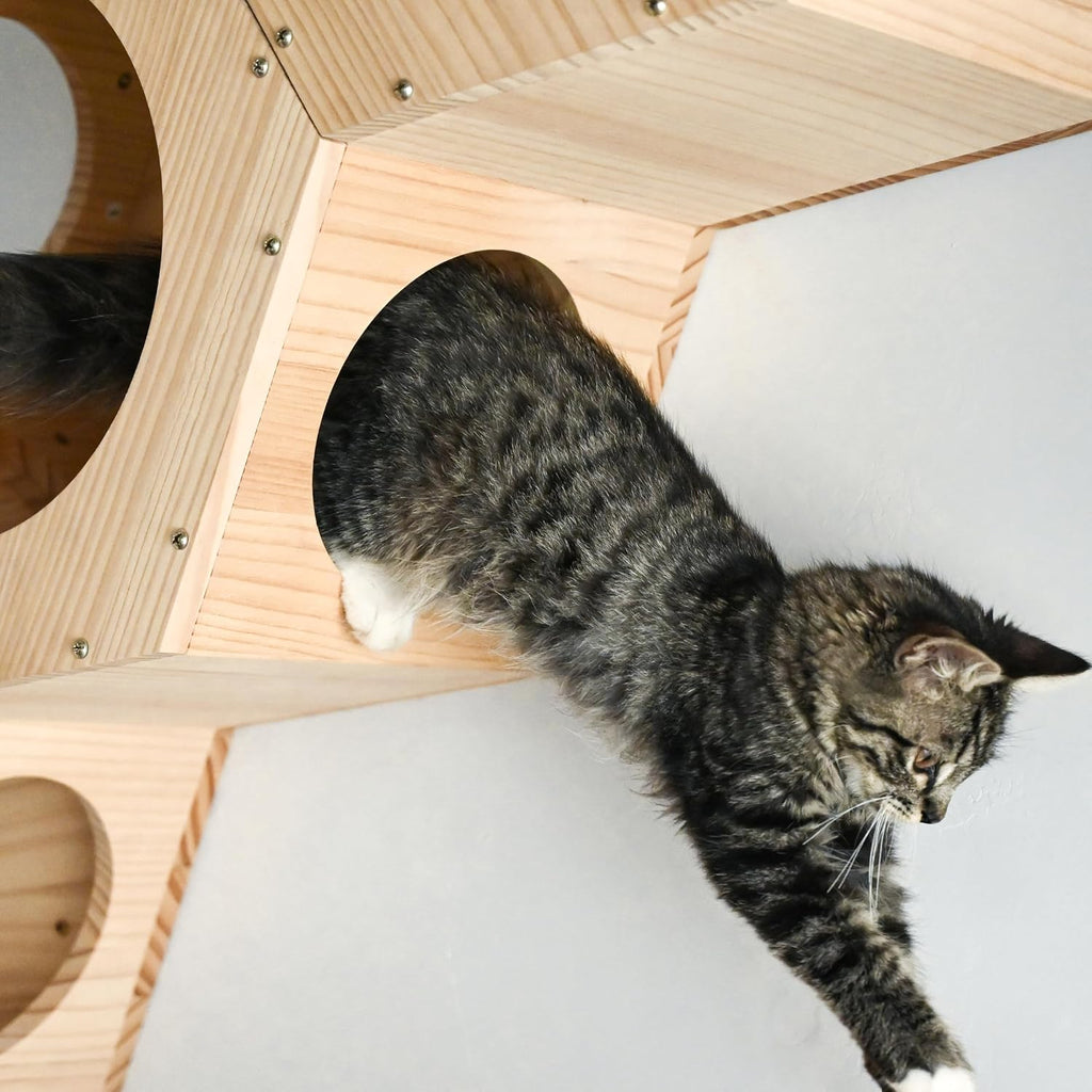 Cat Wall Shelves and Furniture Set with 3 Hexagon Shelves and 4 Z-Shaped Jump Platform (E)