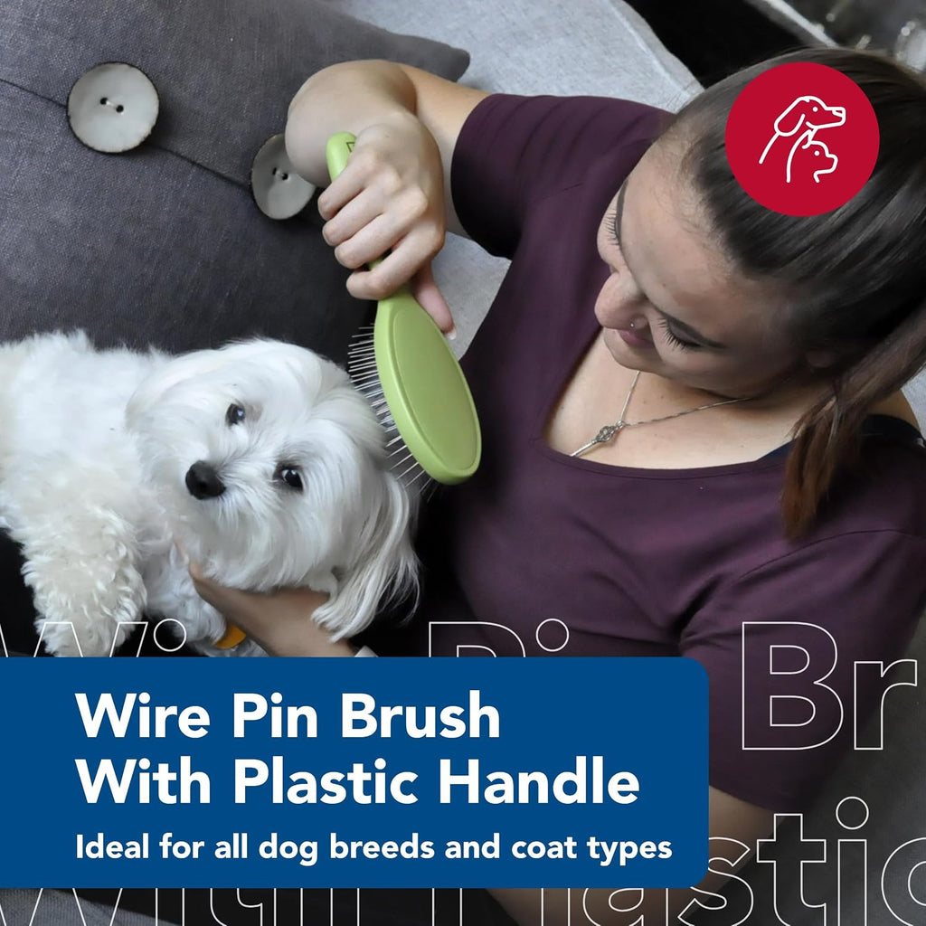 Coastal Pet Safari Wire Pin Brush - No-Slip Plastic Handle for Short and Long Pet Hair - 9.25" x 2.5" Compatible Grooming Tool 