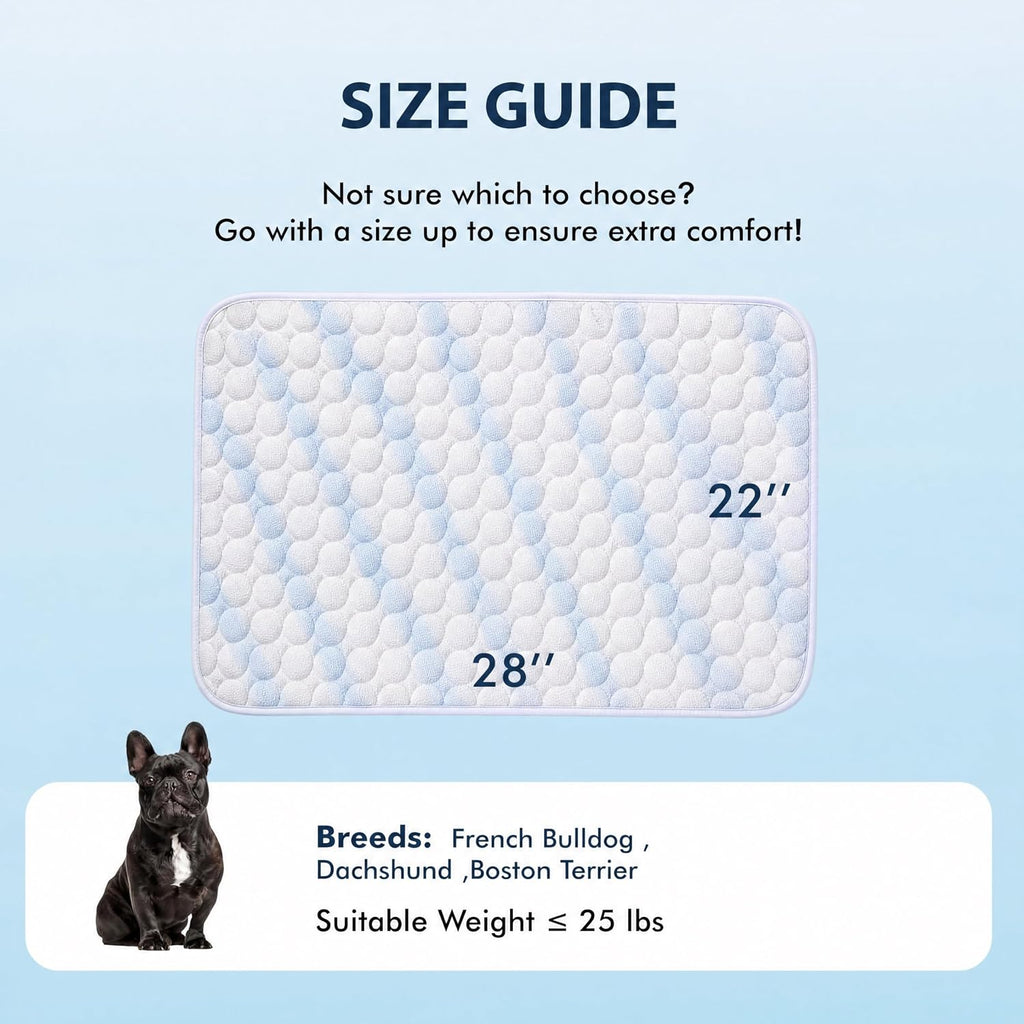 MICROCOSMOS Summer Cooling Mat & Sleeping Pad- Water Absorption Top, Materials Safe, Easy Carry, EZ Clean. Keep Cooling for Pets, Kids and Adults.(Blue White, 28" x22")
