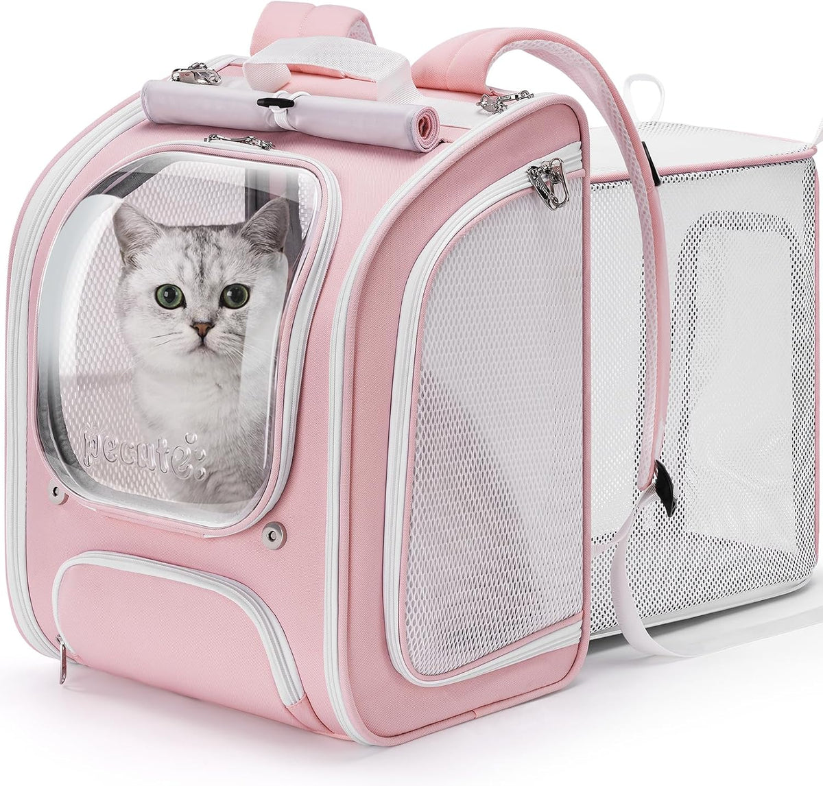 Pecute Cat Backpack Carrier,Cat Bubble,12.6" L x 10.2" W x 16.5" H,Pink