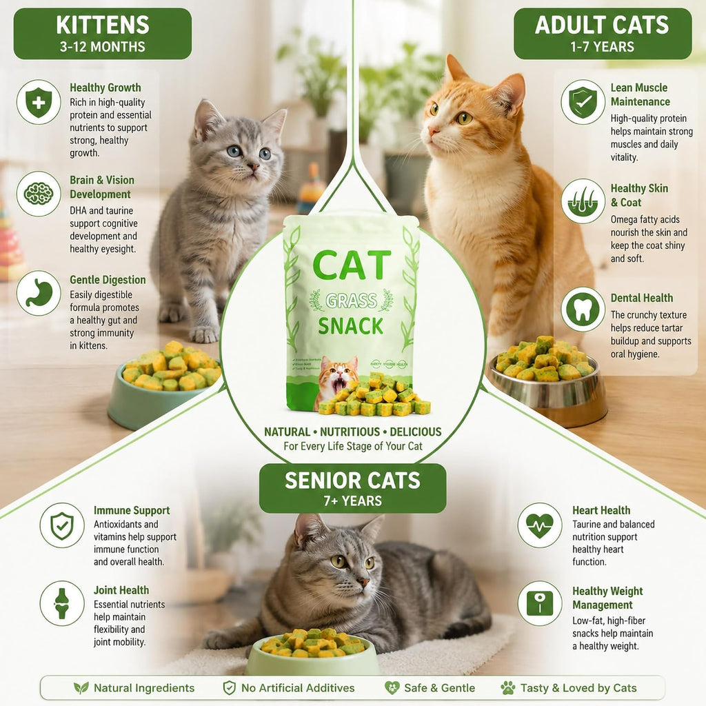 Cat Grass Treats Indoor Cats 135g 2 in 1 Egg Yolk Fish Oil Hairball