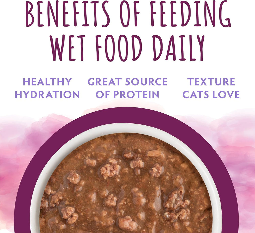 Soulistic Moist and Tender, Beef Dinner in Gravy 3oz Can, Pack of 12