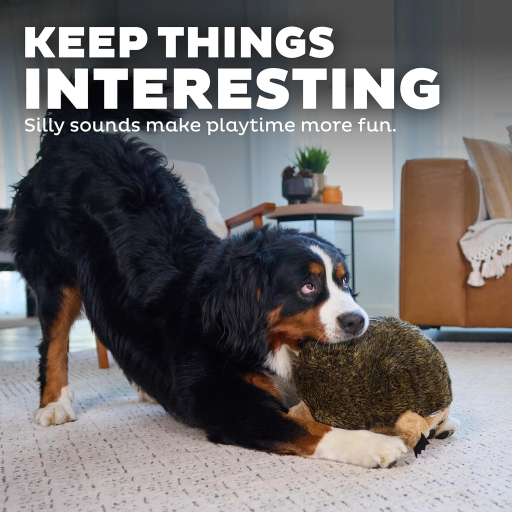 Outward Hound Hedgehogz Plush Dog Toy, Squeaks & Grunts, XL, 12" x 9" | Soft Realistic Faux Fur, Round for Rolling & Chasing, Cuddle & Carry, Interactive Fetch, Light Chewers, Dogs & Puppies