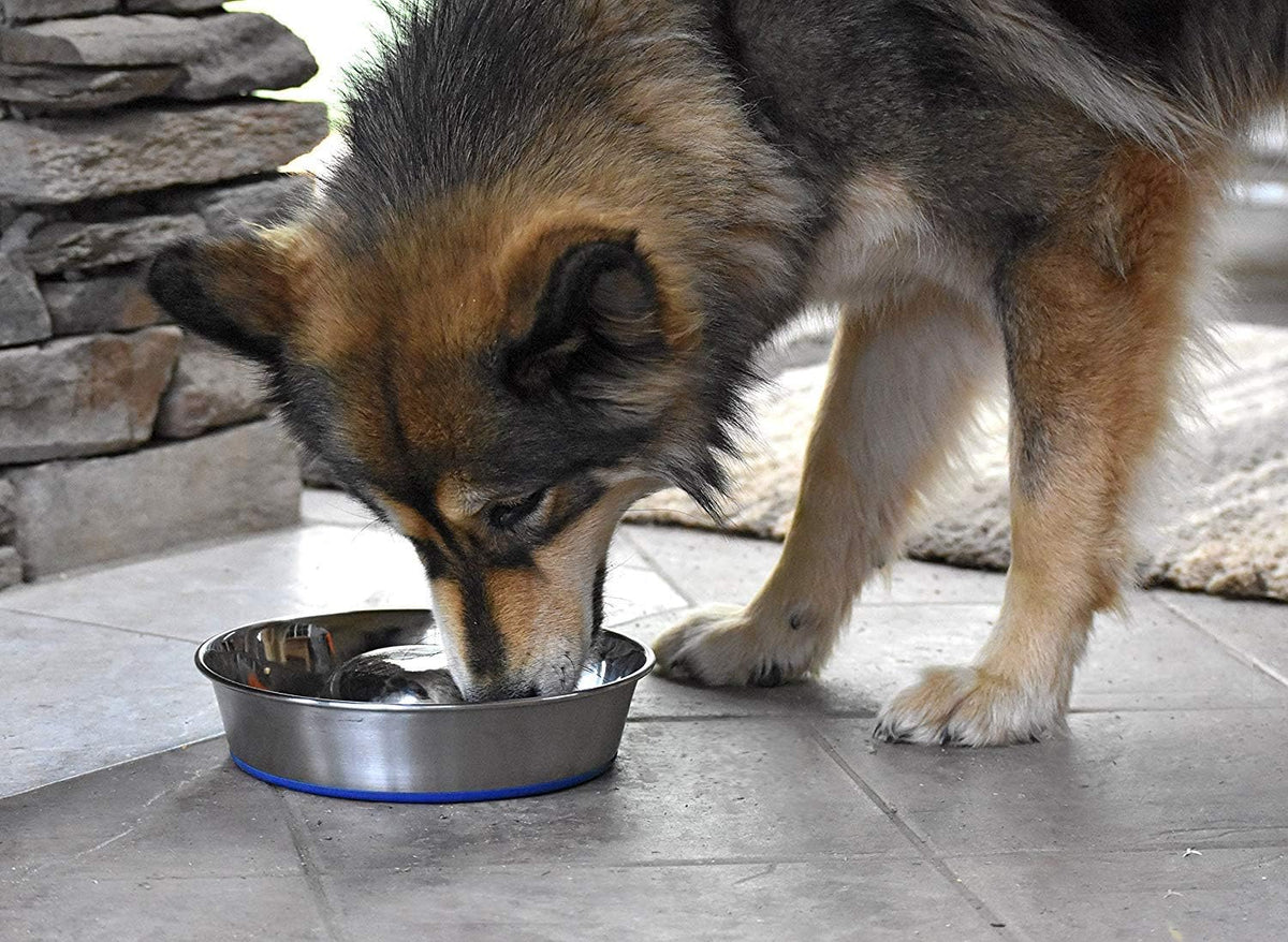 OurPets DuraPet Slow Feed Premium Stainless Steel Bowl (Heavyweight Durable Stainless Steel Bowls, Dog Food Bowl, and Dog Water Bowl) Great Alternative to Snuffle Mat for Dogs-Medium | Helps pace rapid eaters, durable easy clean design, an alternative ...