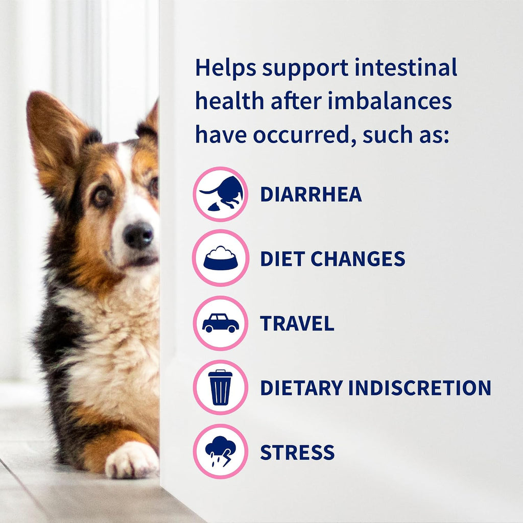 Nutramax Laboratories Proviable Digestive Health Supplement Kit with Multi-Strain Probiotics and Prebiotics for Cats and Small Dogs, with 7-Strains of Bacteria, 15 mL Paste and 10 Capsules