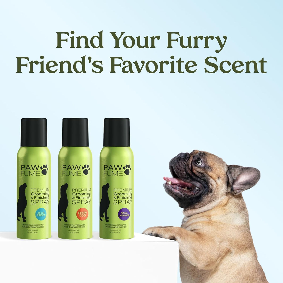 PAWFUME Dog Cologne Spray for Grooming, Blue Ribbon, 1-Pack