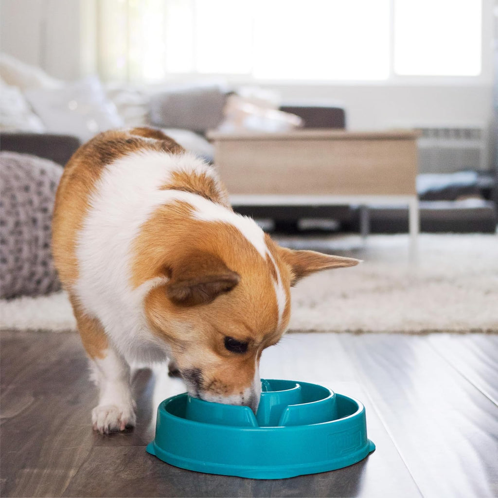 Outward Hound Fun Feeder Slo Bowl – Medium 2‑Cup Capacity, Slow Feeding, Small to Medium Dogs & Cats, Non-Slip, Turquoise, Drop Pattern | Slows Fast Eaters, Can Aid Digestion, Holds 2 Cups Dry or Wet Food, Non-Slip, Easy Clean, No BPA, Small to Medium ...