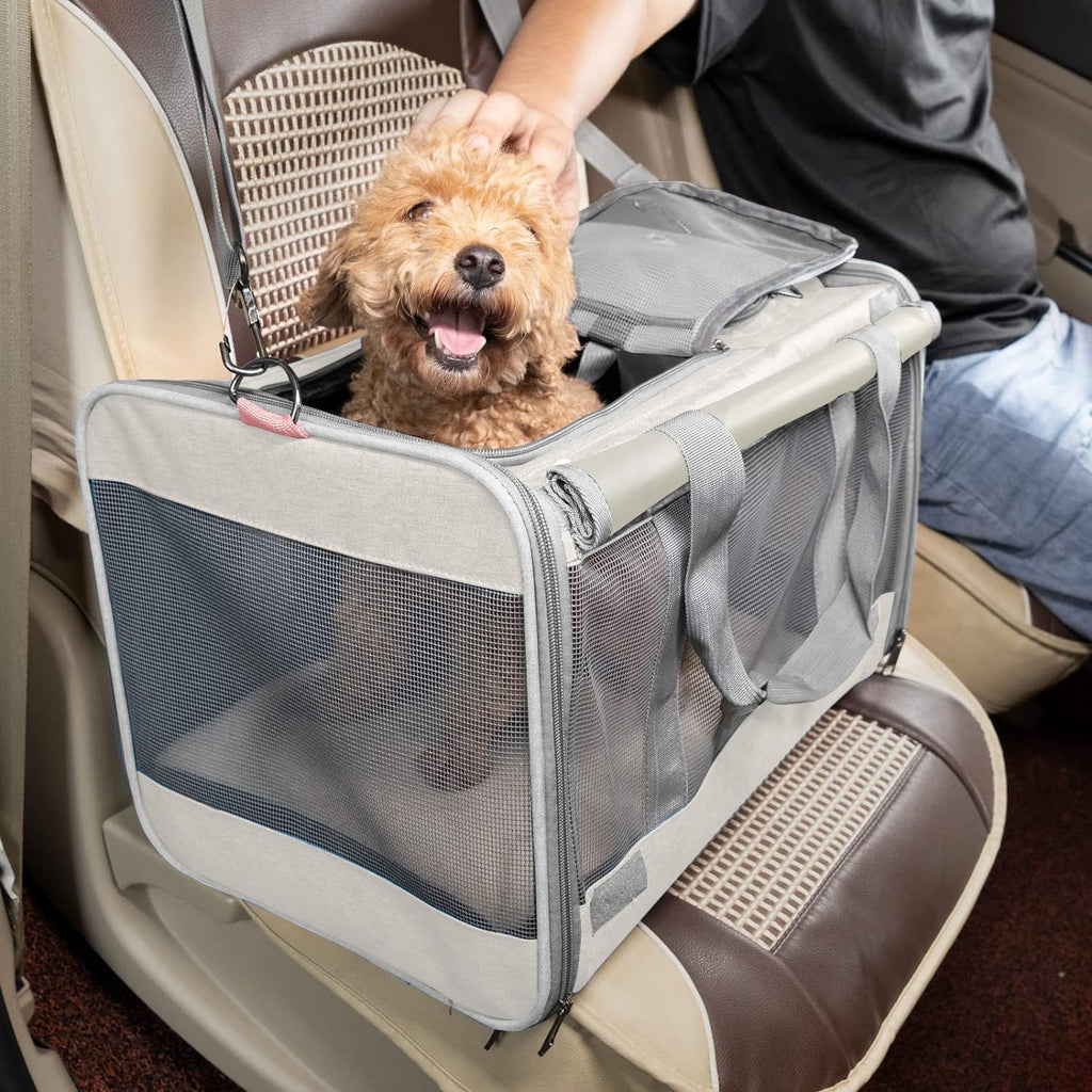GAPZER Pet Carrier for Large Cat Soft-Sided Animal Traveling Bag up to 20lb