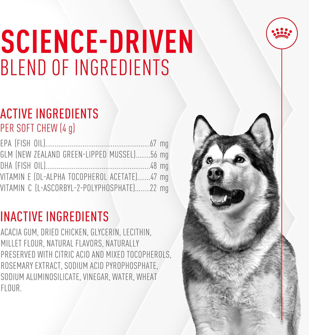 Royal Canin Joint Dog Supplement Soft Chews for Adult Dogs, 60 Count (Pack of 2)