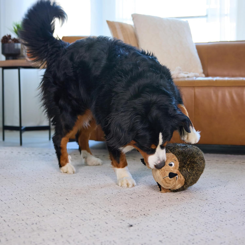 Outward Hound Hedgehogz Plush Dog Toy, Squeaks & Grunts, XL, 12" x 9" | Soft Realistic Faux Fur, Round for Rolling & Chasing, Cuddle & Carry, Interactive Fetch, Light Chewers, Dogs & Puppies
