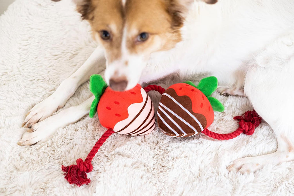 Pearhead “You’re Berry Cute” Valentine’s Day Dog Toy – Plush Strawberry Squeaker & Rope Tug Toy, Interactive Crinkle Chew Toy for Dogs, Festive Valentine Pet Gift