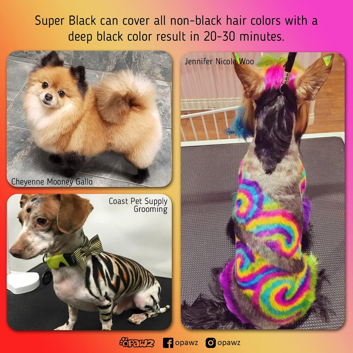 OPAWZ Permanent Dog Hair Dye, Pet Hair Dye Safely Used by Grooming Salons for a Decade, Pet Safe Dye Lasts Over 20 Washes, Bright Color for Dogs and Horses (Super Black)